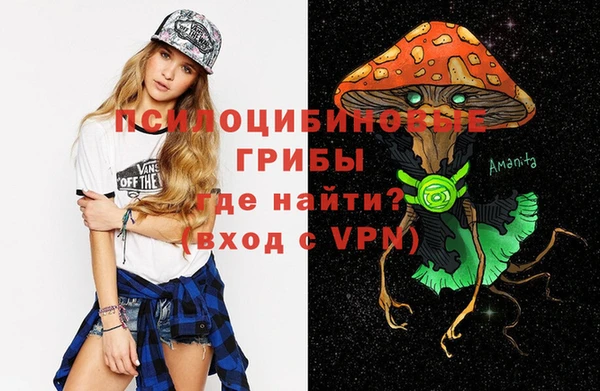 стафф Гусиноозёрск