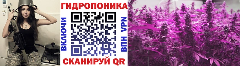 Бошки Шишки план  площадка формула  Зверево  KRAKEN ТОР 